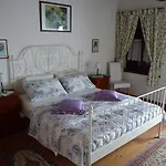 Borgovecchio *