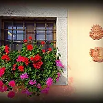 Κατάλυμα σε φάρμα Borgovecchio Romans d'Isonzo