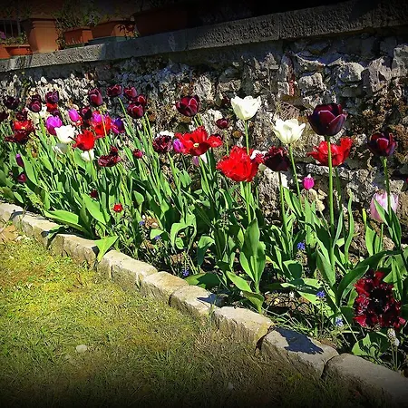 Vakantieboerderij Borgovecchio *