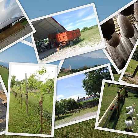 Κατάλυμα σε φάρμα Borgovecchio Romans d'Isonzo