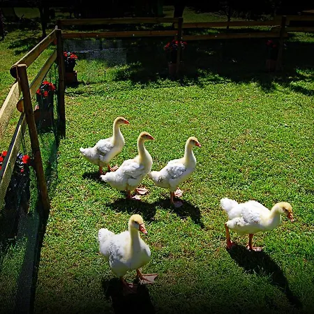 Borgovecchio Romans d'Isonzo