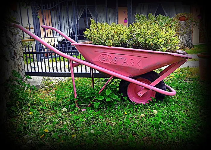 Κατάλυμα σε φάρμα Borgovecchio