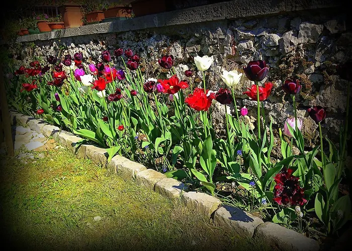 Κατάλυμα σε φάρμα Borgovecchio *