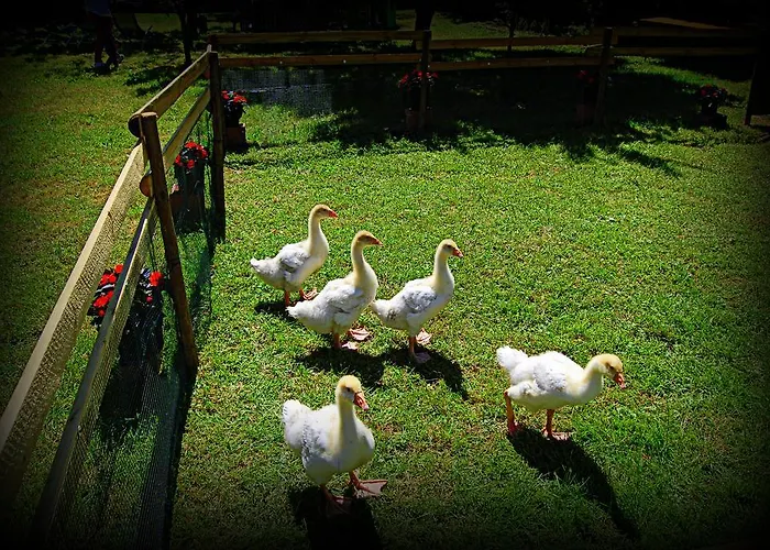 Borgovecchio Romans d'Isonzo