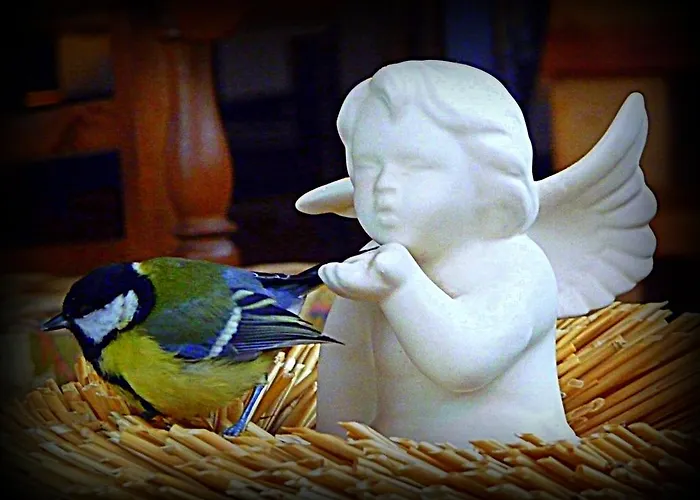 Κατάλυμα σε φάρμα Borgovecchio